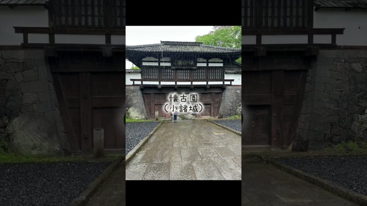 Kpop老夫婦の旅 小諸城にて #shorts