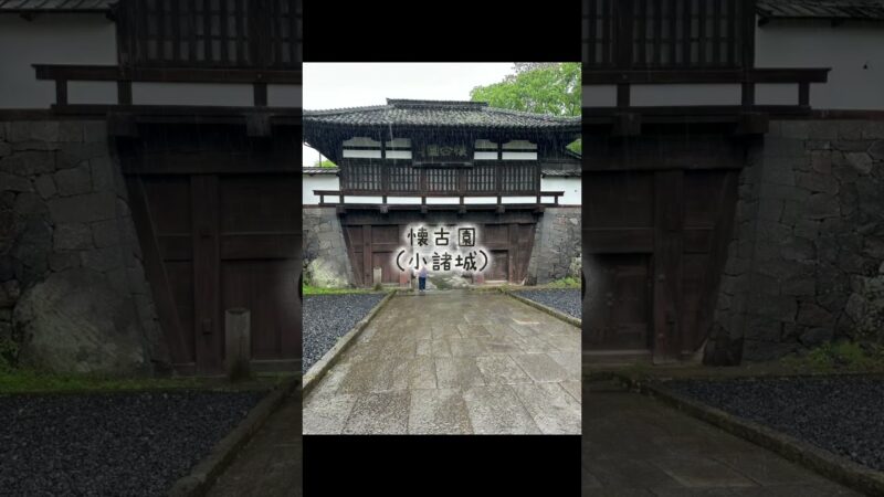 Kpop老夫婦の旅 小諸城にて #shorts