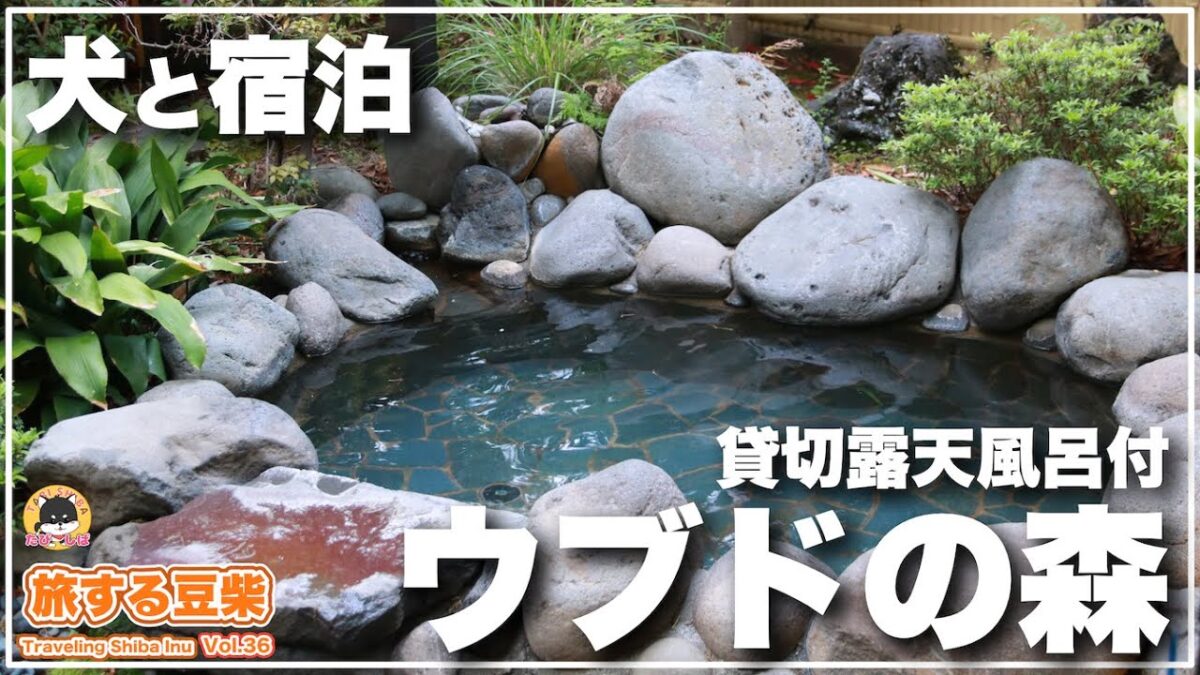 【犬と泊まれる宿・ホテル】続！犬連れ旅行最高峰のリゾート温泉宿「ウブドの森」が最高すぎた（旅する豆柴in静岡）