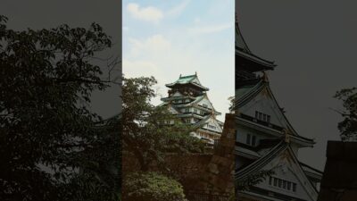日本 大阪城 新緑の大阪城公園 japan-ohsaka