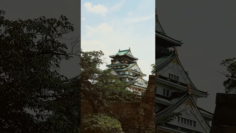 日本　大阪城　新緑の大阪城公園　japan-ohsaka