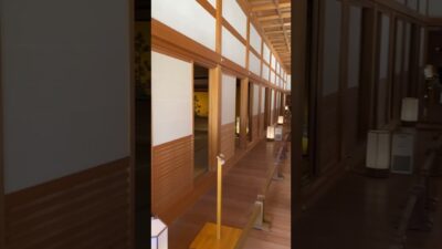 絢爛！名古屋城本丸御殿をご案内#名古屋旅行#名古屋#名古屋城#徳川#名古屋観光#名古屋観光スポット#観光#観光名所#国内旅行#nagoya#nagoyacastle#shorts#ショート#旅行#愛知