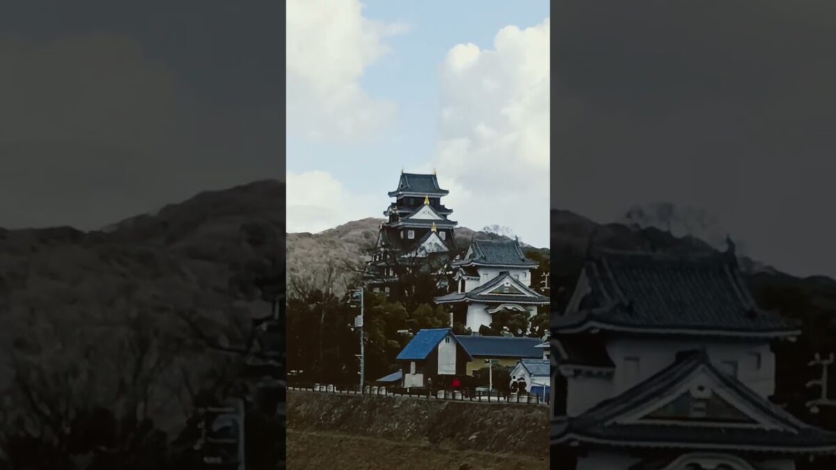 岡山城 #お城 #名城 #烏城 #旅行 #travel  #桃太郎 #岡山市 #観光 #歴史