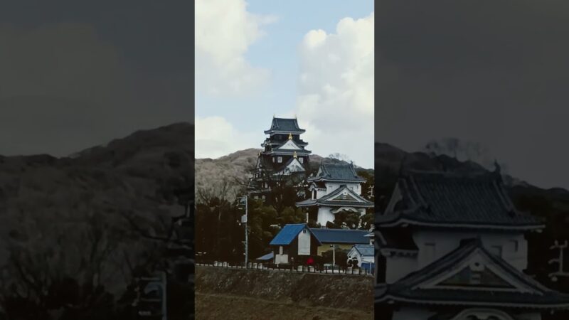 岡山城 #お城 #名城 #烏城 #旅行 #travel  #桃太郎 #岡山市 #観光 #歴史