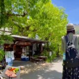 【女ひとり旅】美しすぎる…大分・由布院を満喫♪自然とグルメが素晴らしすぎた。