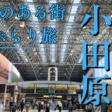 【小田原観光】東京から日帰りで満喫！お城・カフェ・海の絶景を徒歩で巡る旅