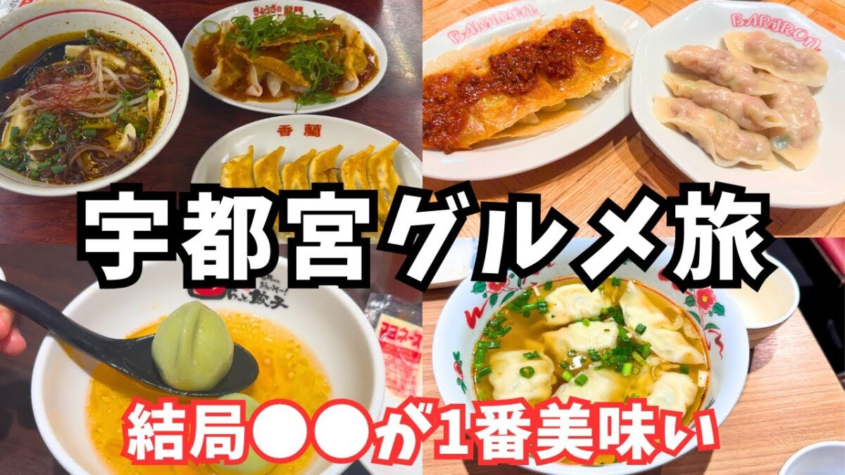 【宇都宮グルメ】宇都宮旅行で餃子を堪能しました