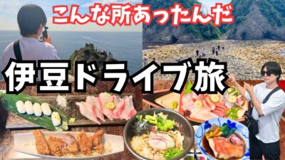 【伊豆観光】伊豆旅行でグルメと観光を堪能しました！海鮮グルメと秘境巡りのドライブ旅行vlog