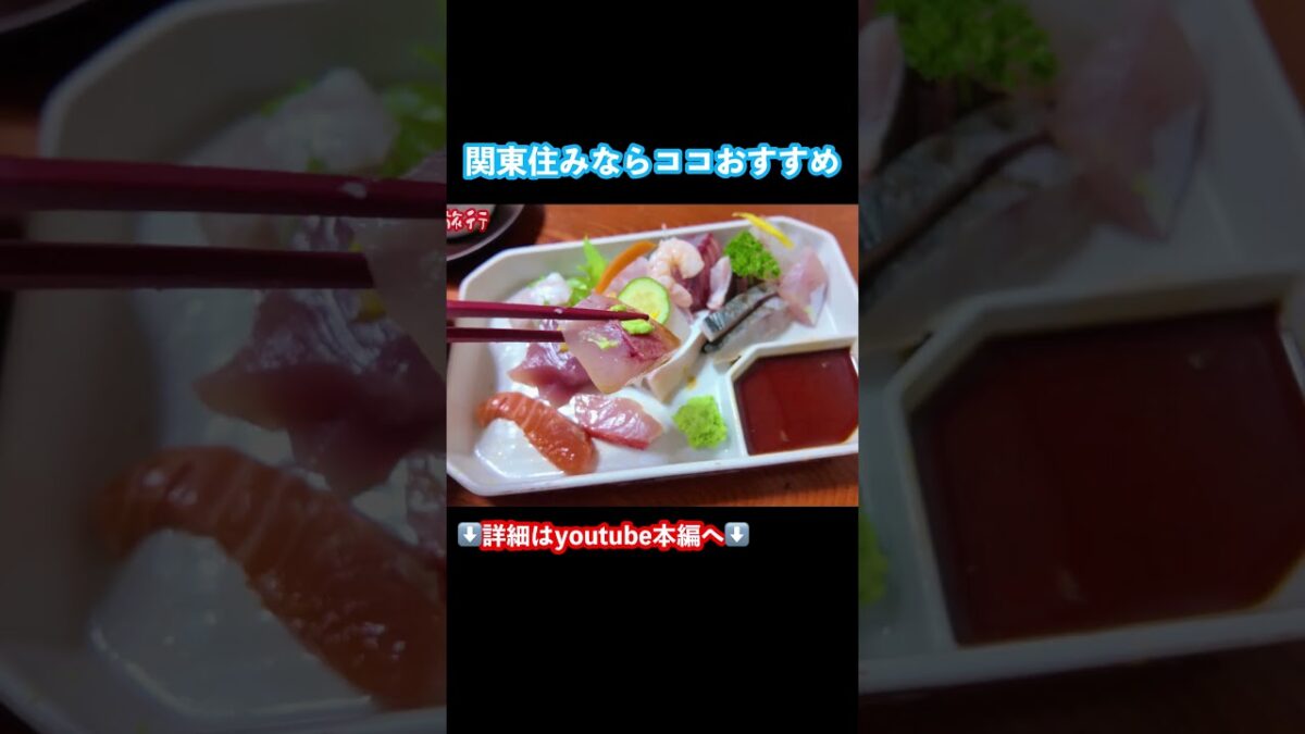 【伊豆観光】刺身が美味い！伊豆旅行でグルメを堪能するドライブ旅 #静岡観光 #伊豆旅行 #下田グルメ #伊豆観光 #旅行vlog