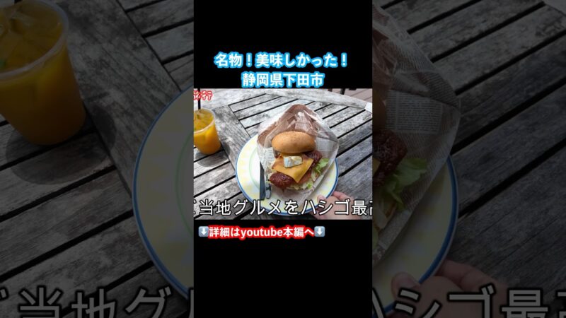 【伊豆旅行vlog】静岡観光で下田市をドライブ旅したら最高すぎた #旅行vlog #ドライブ旅 #伊豆観光 #静岡観光 #下田市