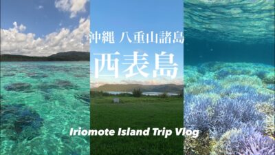 【vlog】西表島の海と自然に魅了される2日間🏝️🐠