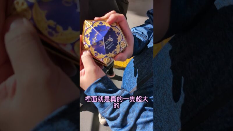 【下班ほ七逃】【2025東京自由行】東京華納兄弟哈利波特影城 東京練馬景點推推🔥紀念品店&法杖買起來❤️ #日本 #東京 #練馬 #japan #tokyo #哈利波特 #harrypotter