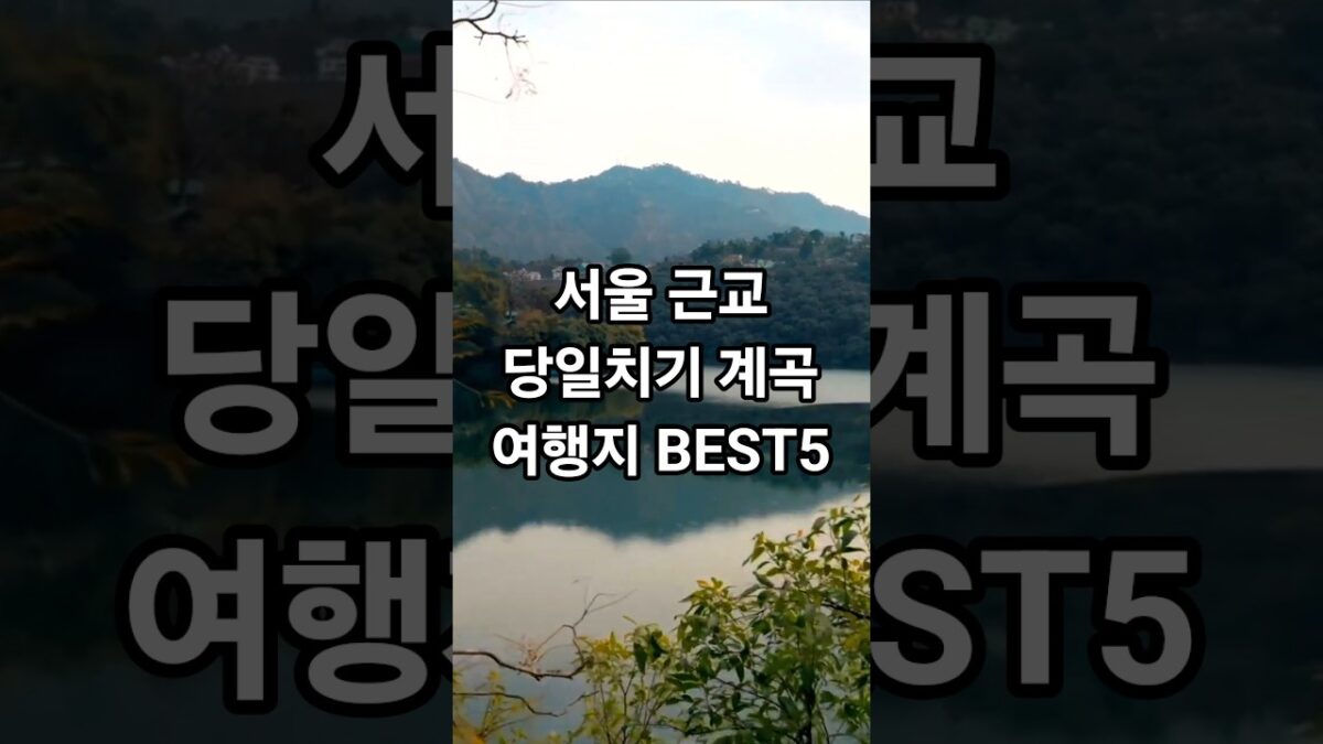 서울 근교 당일치기 계곡 여행지 BEST5 #shorts