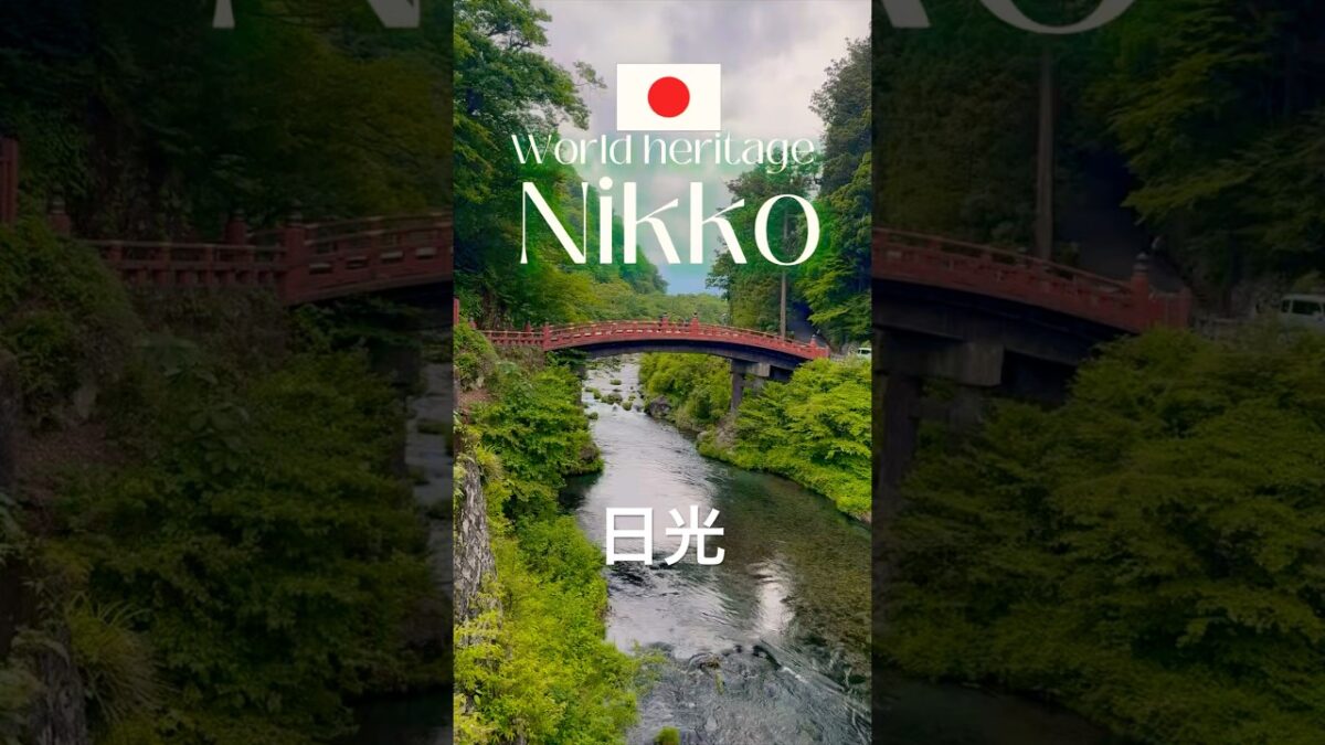 Day trip from Tokyo to Nikko! One of the historic sites in Japan 🇯🇵 栃木県日光