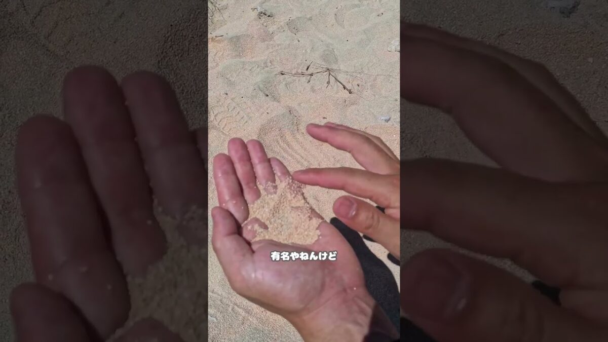 【星の砂がある星砂のビーチ】#旅 #旅人 #旅行 #海外 #海外旅行 #夫婦 #バックパック #バックパッカー #星砂の浜 #西表島