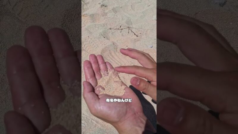 【星の砂がある星砂のビーチ】#旅 #旅人 #旅行 #海外 #海外旅行 #夫婦 #バックパック #バックパッカー #星砂の浜 #西表島
