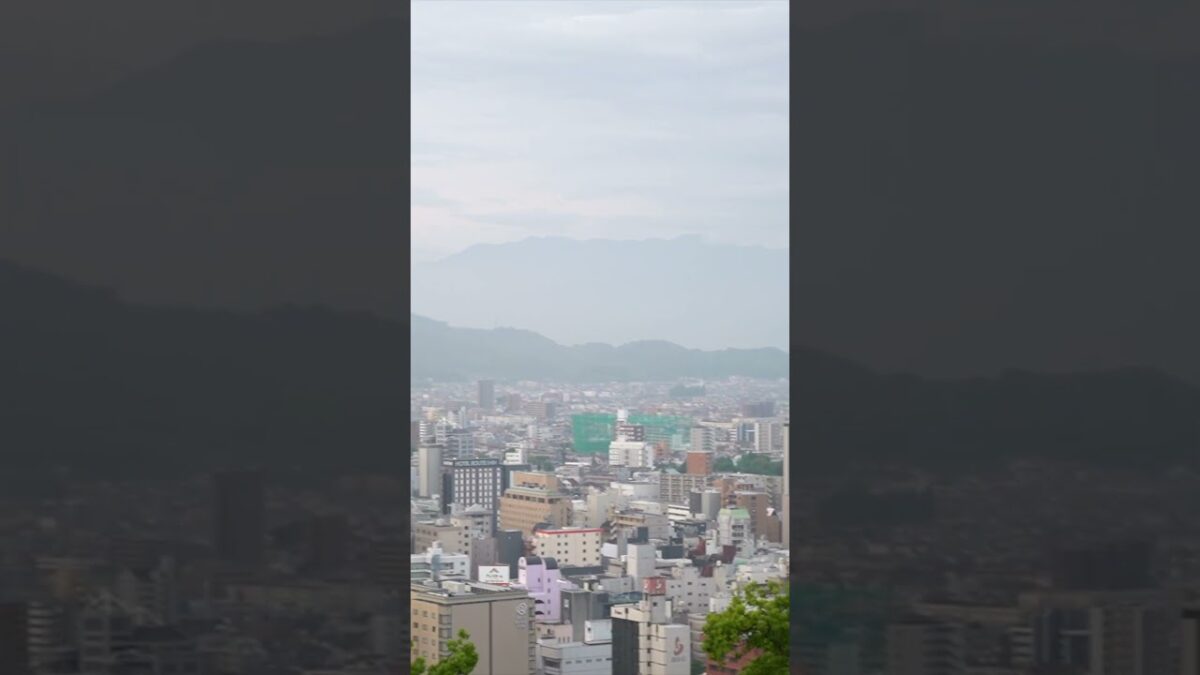 松山城に登る！ハクビシンに驚くが天守閣までしっかり撮影♪