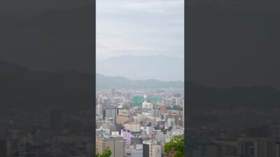 松山城に登る！ハクビシンに驚くが天守閣までしっかり撮影♪