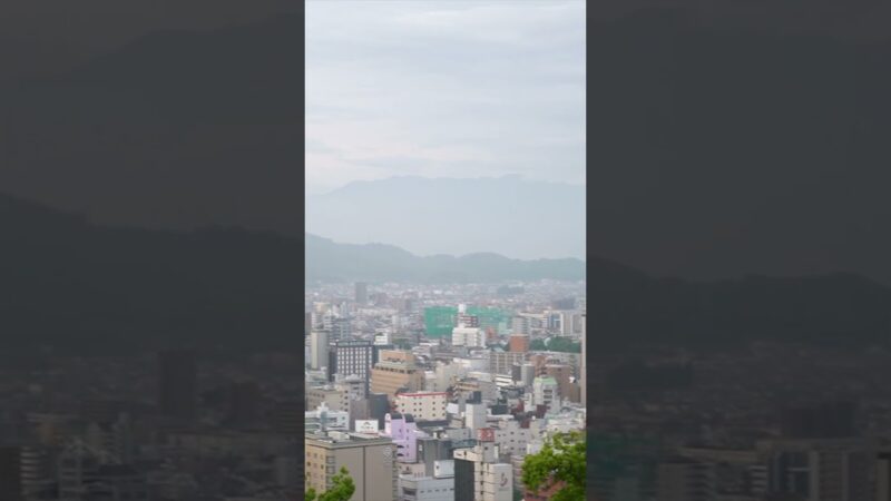 松山城に登る！ハクビシンに驚くが天守閣までしっかり撮影♪