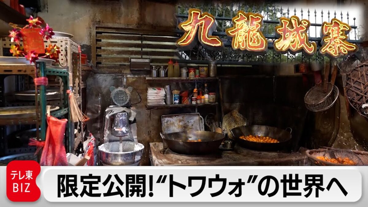 映画「トワイライト・ウォリアーズ」の世界を体感！九龍城砦などの名所を再現した香港の観光スポットとは【ガイア もう一つのエピソード】