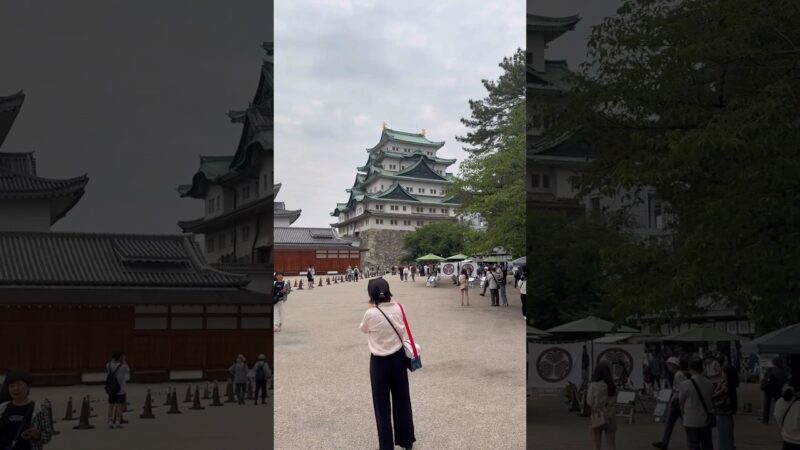 【現地動画】名古屋城、天守閣へ！⑥