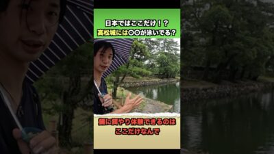 鯉ではなく鯛が泳ぐ城？！　#旅 #観光#旅行#ぶらり旅#高松#城#百名城