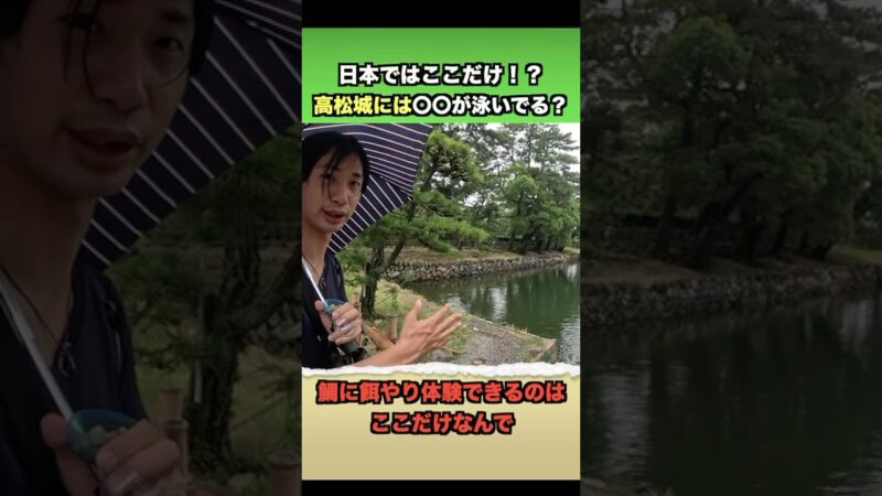鯉ではなく鯛が泳ぐ城？！　#旅 #観光#旅行#ぶらり旅#高松#城#百名城