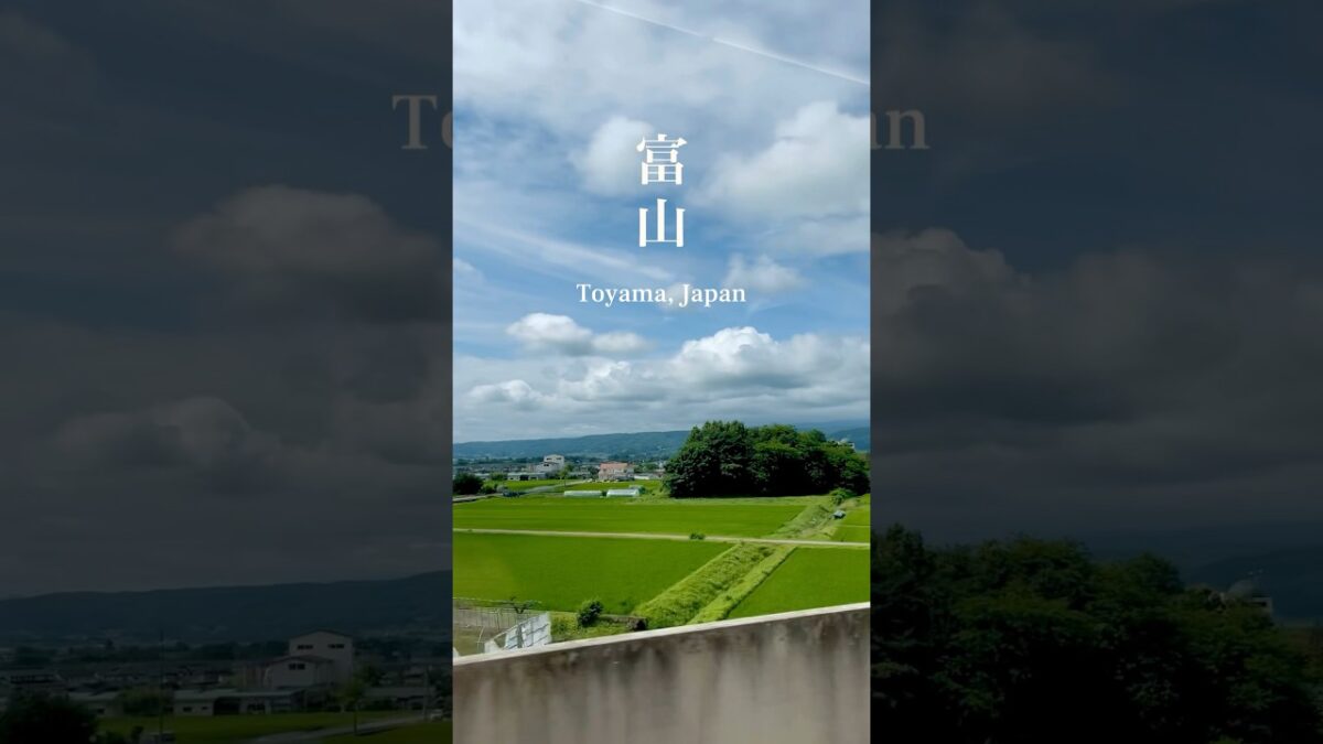 富山 | 雨晴海岸 おすすめ観光スポット #国内旅行 #富山県 #富山観光 #北陸旅行 #環水公園 #雨晴海岸 #旅行vlog #toyama #japantravel