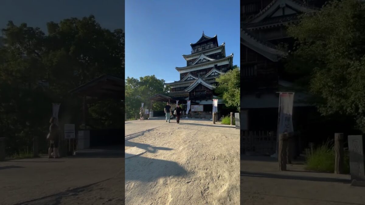 Castle in Japan 🇯🇵🏯#japanesecastle