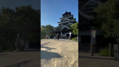 Castle in Japan 🇯🇵🏯#japanesecastle