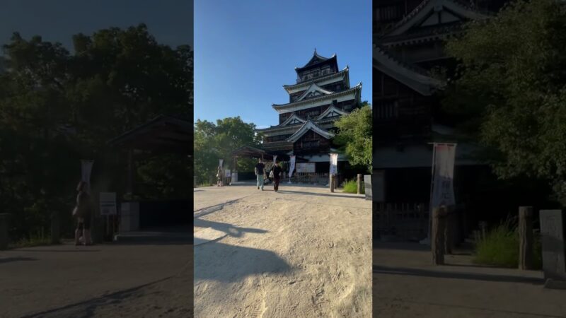 Castle in Japan 🇯🇵🏯#japanesecastle