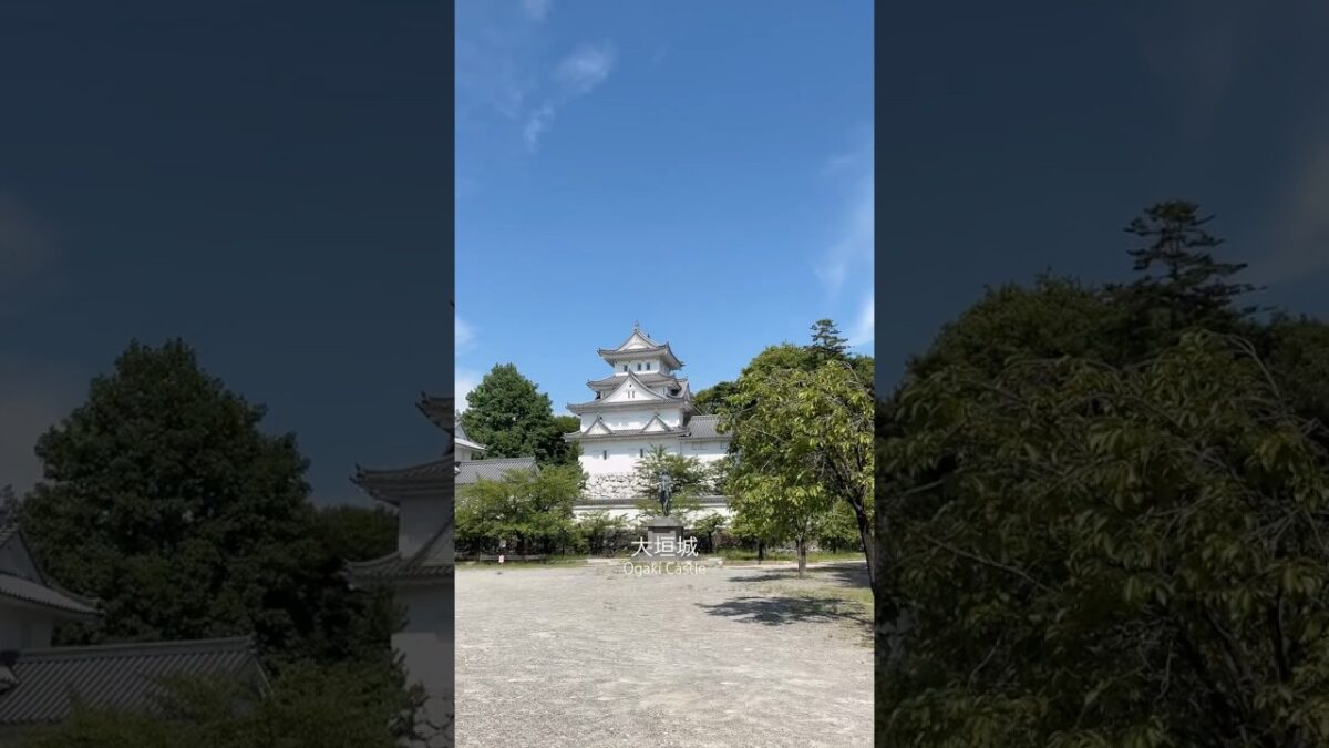 📍Ogaki Castle #大垣城 #ogakicastle #大垣市 #japan #日本 #travel #japantravel #旅行