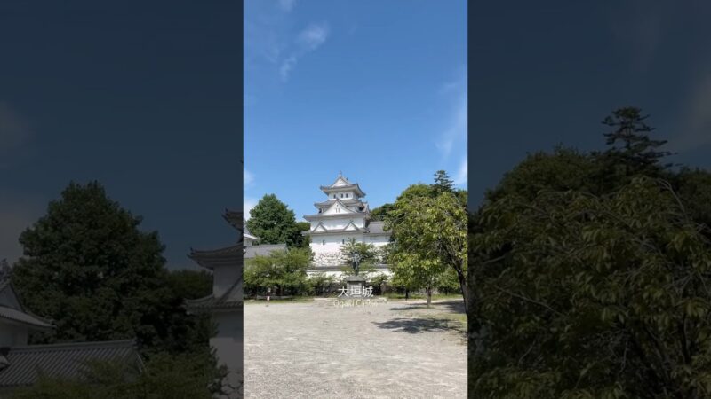 📍Ogaki Castle #大垣城 #ogakicastle #大垣市 #japan #日本 #travel #japantravel #旅行