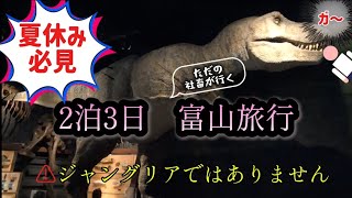 【Vlog】【グルメ旅】ジャングリアよりもここに行け！想像の100倍良かった！2泊3日、富山を全力で楽しむ旅#富山旅行 #Vlog #国内旅行 #旅スタグラム　#夏休み #お盆 #旅行  #グルメ