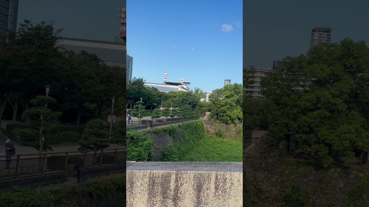 天守閣　#大阪城 #japan #大阪 #観光 #shorts #오사카성