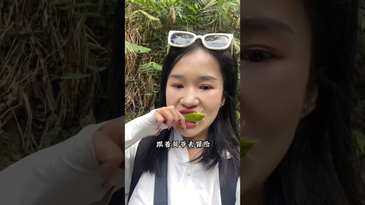国内版亚马逊雨淋徒步，感受到了跟着贝爷去冒险的刺激探险！#西双版纳#基诺山雨淋徒步#有一种叫云南的生活
