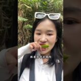 国内版亚马逊雨淋徒步，感受到了跟着贝爷去冒险的刺激探险！#西双版纳#基诺山雨淋徒步#有一种叫云南的生活