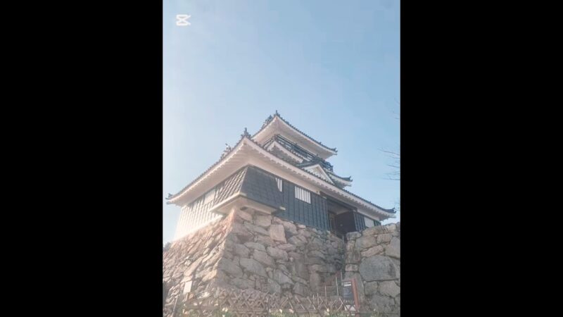 【浜松城】静岡観光🚌✨