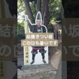 【四国旅②】真夏に、石垣が凄い丸亀城を登るとこうなる