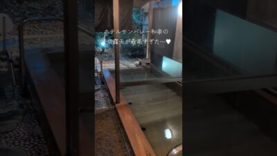 【vlog】伊豆長岡の温泉旅館に行ってきた！