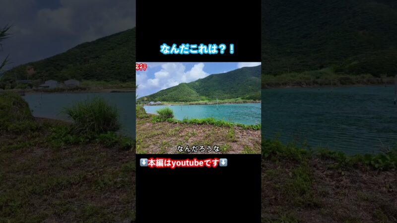 【奄美大島観光】奄美大島旅行で最南端エリアに行ってみた #奄美大島 #鹿児島県 #離島 #旅行vlog