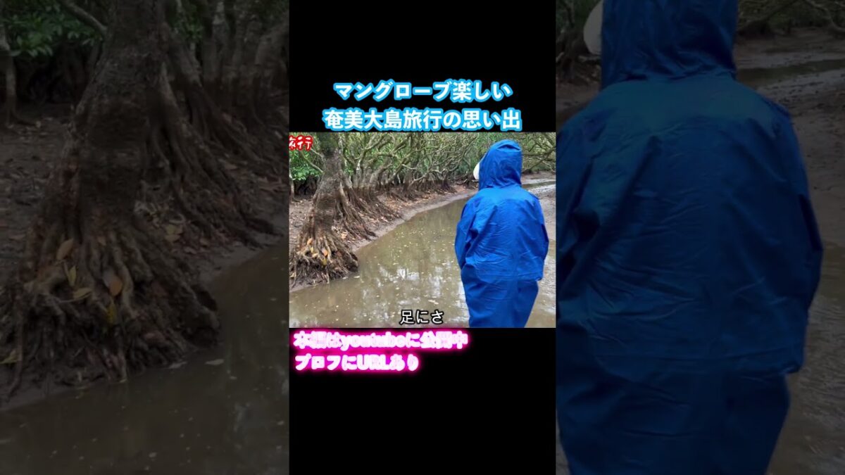 【奄美大島vlog】奄美大島旅行でグルメと秘境とツアーを堪能しました #旅行vlog #奄美大島 #九州旅行
