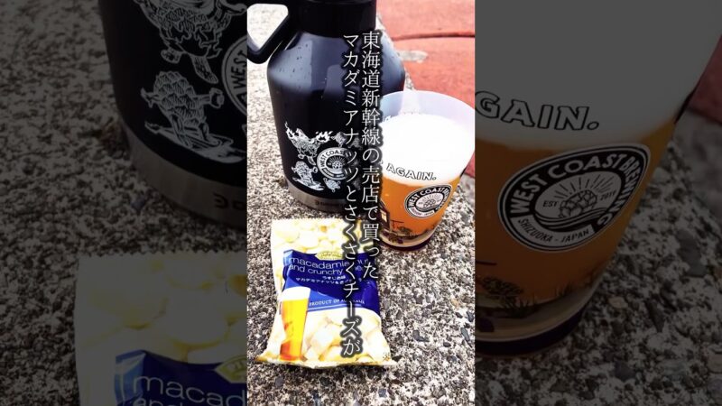【激ヤバ】宿泊者限定クラフトビール10リットル飲み放題の宿に行ってきたら海岸で最高の時間を過ごせたよ！ #vlog #旅行 #女子 #ひとり旅 #女子旅 #国内旅行 #用宗