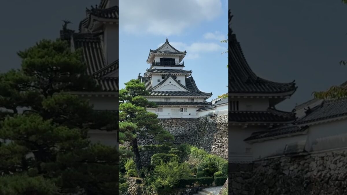 #shorts #高知城 #現存天守12 #旅行 #日本 #japan