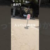 【高知城】　追手門で門前払いか　#shorts#歴史#高知#観光#景色