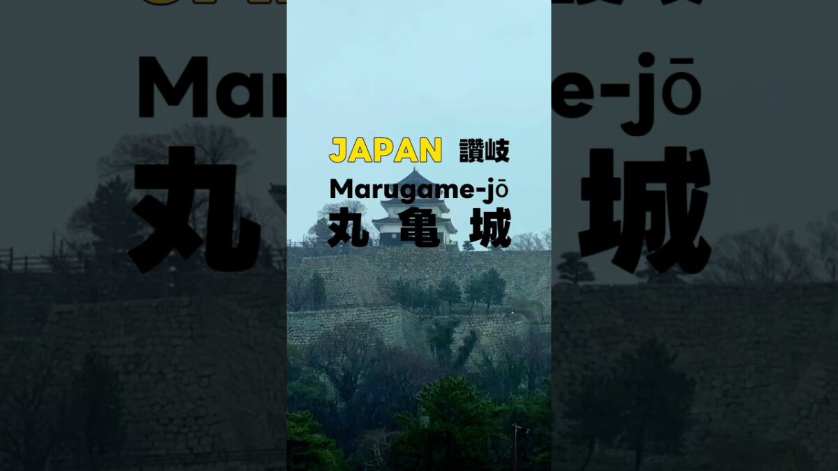 雨中漫步丸龜城｜日本古城真實探索 #旅行 #travel #japaneseculture