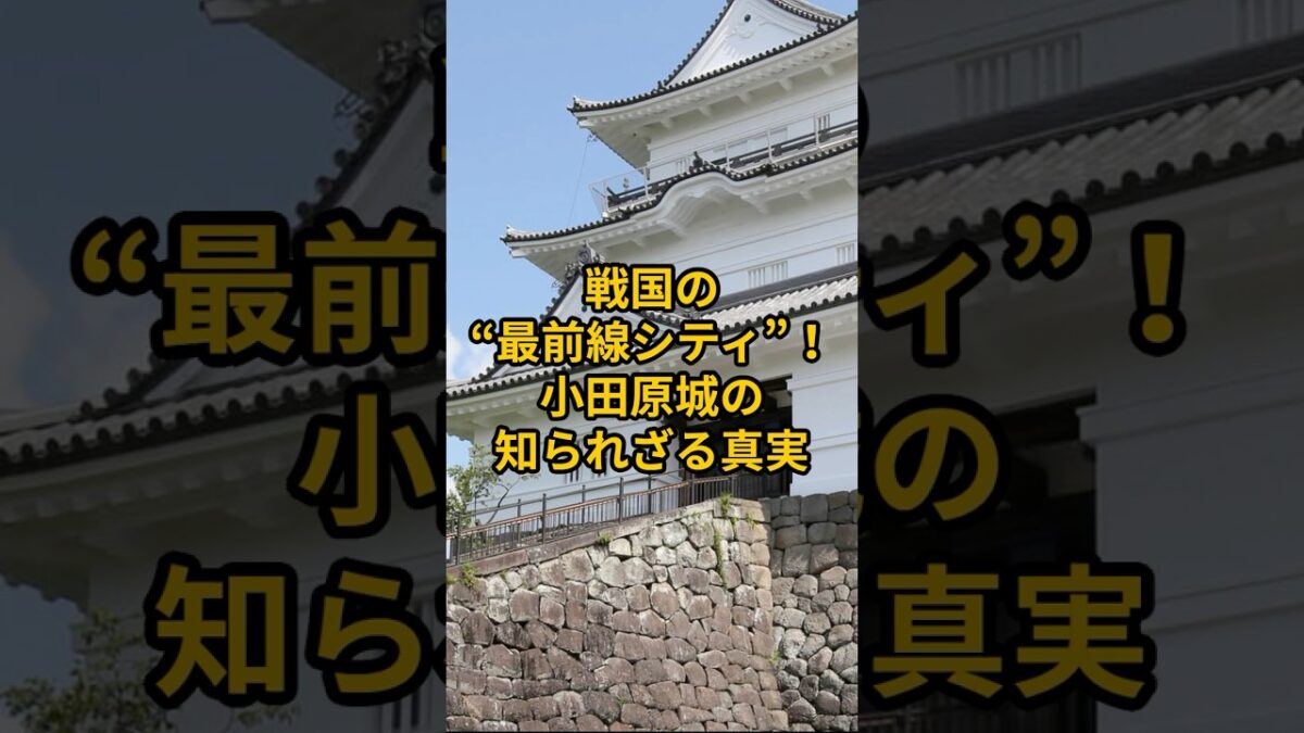 【お城・観光・グルメ】神奈川県：小田原城#旅行 #お城 #観光 #グルメ