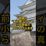 【お城・観光・グルメ】神奈川県：小田原城#旅行 #お城 #観光 #グルメ