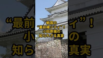 【お城・観光・グルメ】神奈川県：小田原城#旅行 #お城 #観光 #グルメ