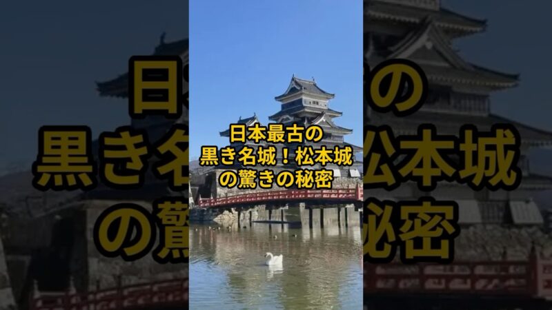 【お城・観光・グルメ】長野県：松本城#旅行 #お城 #観光 #グルメ